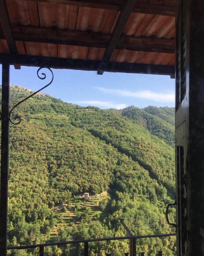 House In The Medieval Village Apricale Buitenkant foto