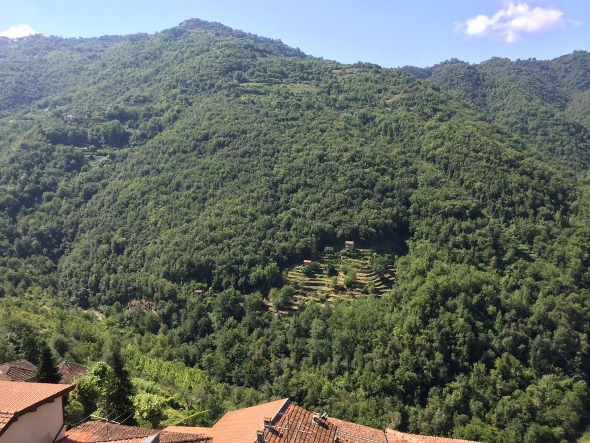 House In The Medieval Village Apricale Buitenkant foto