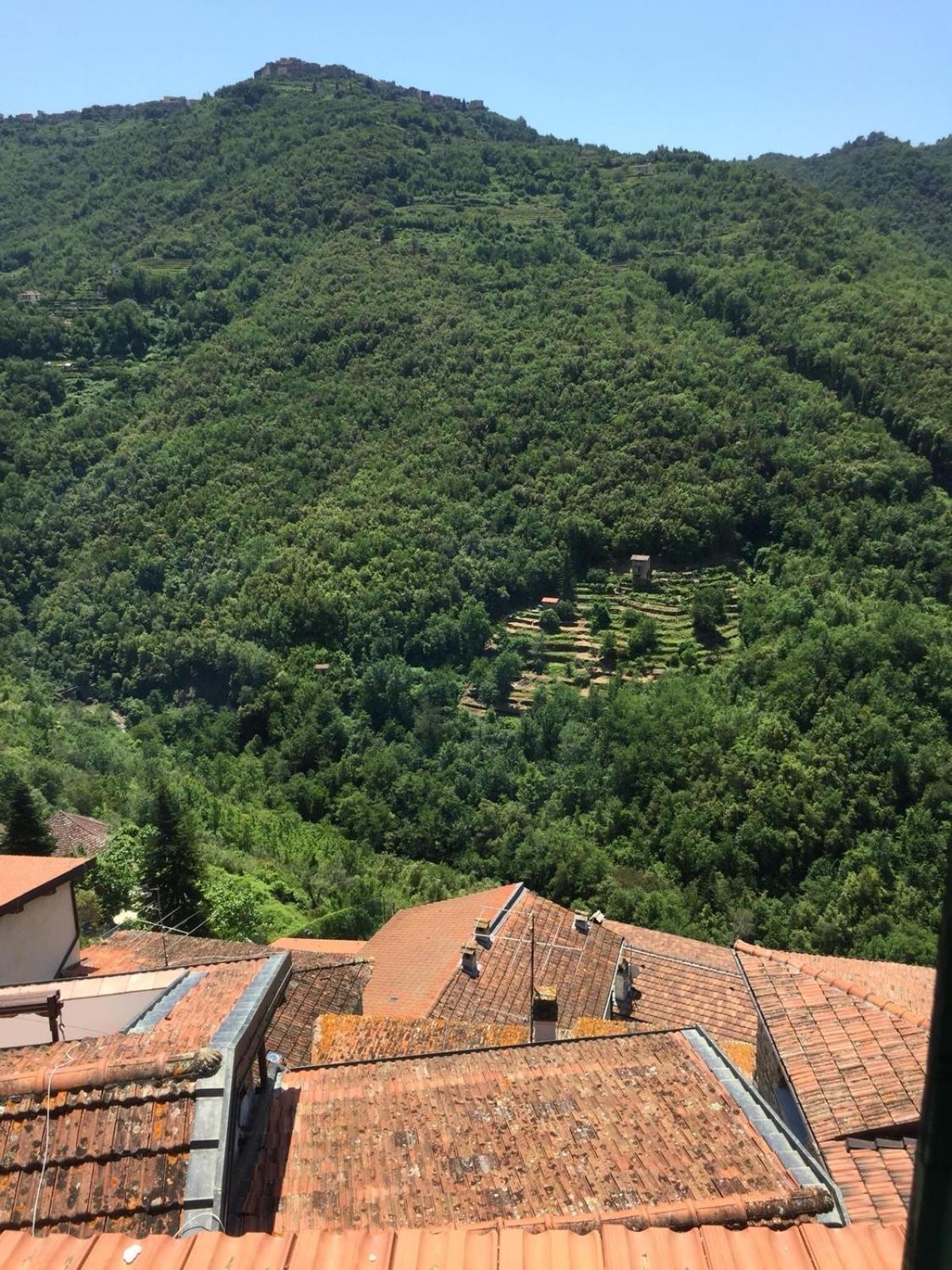 House In The Medieval Village Apricale Buitenkant foto